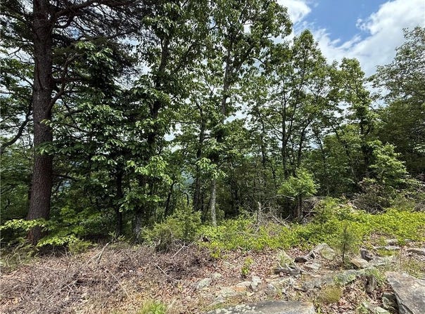 157 HWY, Menlo, GA 30731