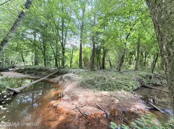 Summit Drive, Summit, MS 39666