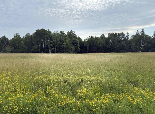 0000 Range Line Rd, Iron River, WI 54847