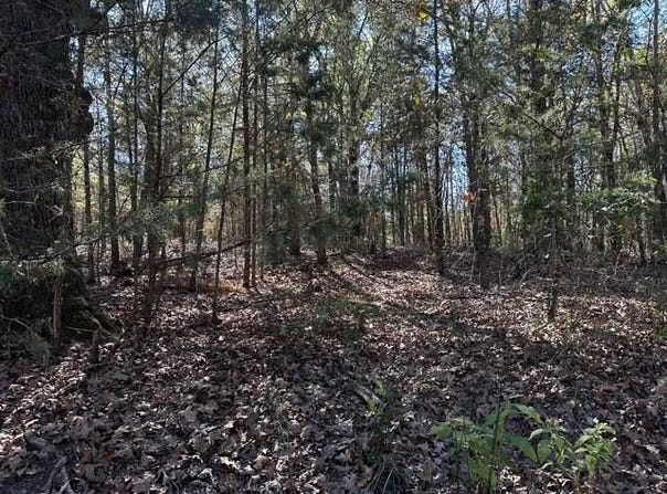 231 PRIVATE RD 8507, Van, TX 75790