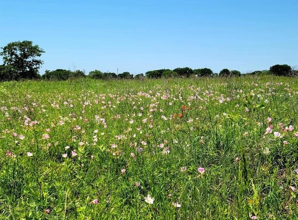 Tbd HCR 1450 N, Covington, TX 76636