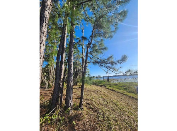 2332 MITCHELL ISLAND ROAD, DELTONA, FL 32738