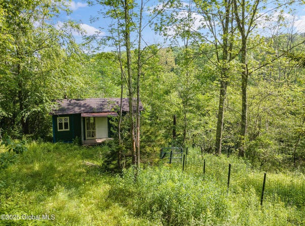 616 Enid Road, Summit, NY 12175