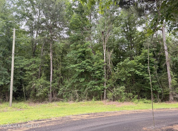 Claudette Ln, McComb, MS 39648