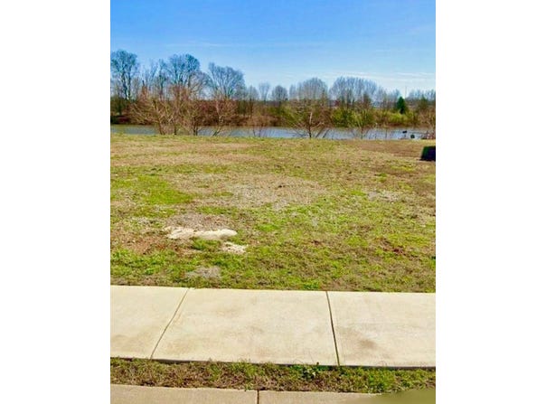 Spring Lakes Circle, Bowling Green, KY 42104