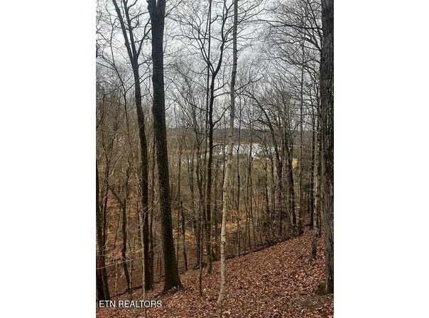 Lot 743 Russell Brothers Rd, Sharps Chapel, TN 37866