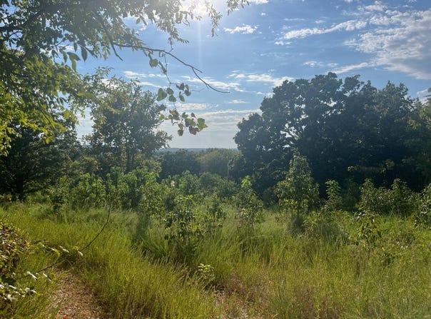 8075 STATE HIGHWAY 82, Locust Grove, OK 74352