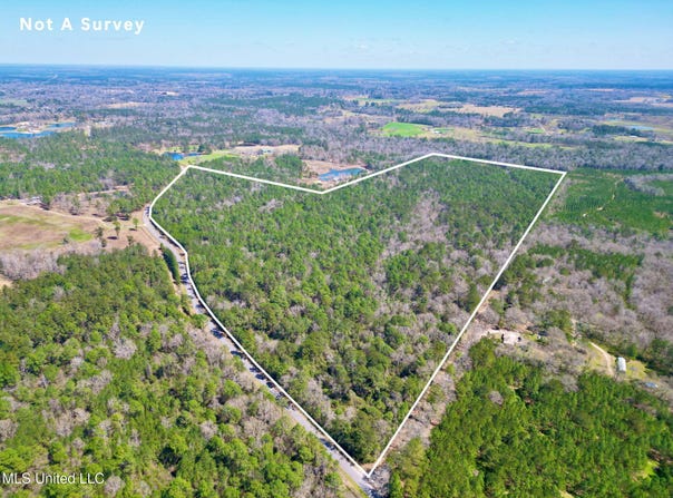 Lot 2 Cowart Holiday Road, Poplarville, MS 39470