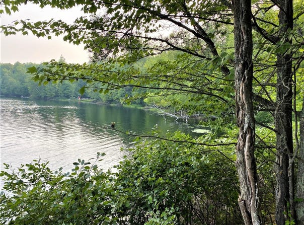 ON CTH FF, Mercer, WI 54547
