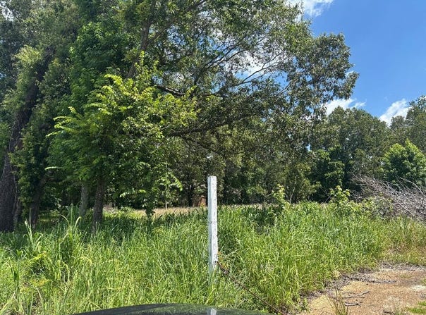 1734 MT PISGAH, Unincorporated, TN 38016