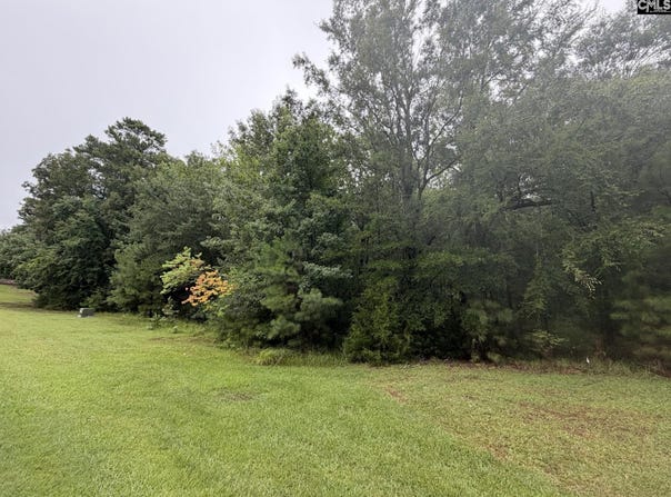 Harbor View Drive lot: 62, Prosperity, SC 29127