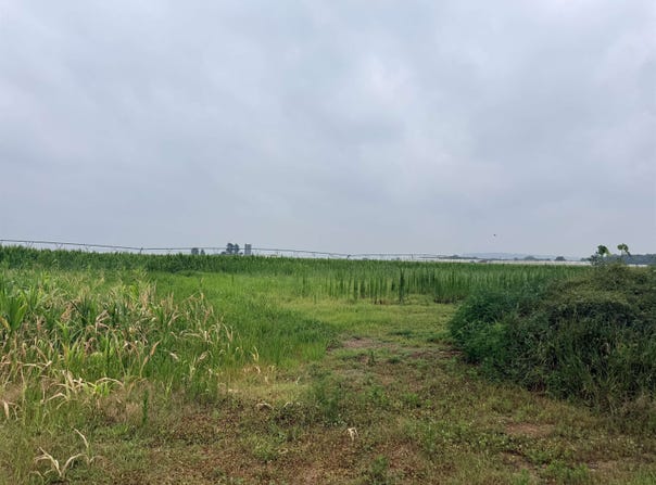 16.03 Acres Dennis Court, Prairie du Sac, WI 53578