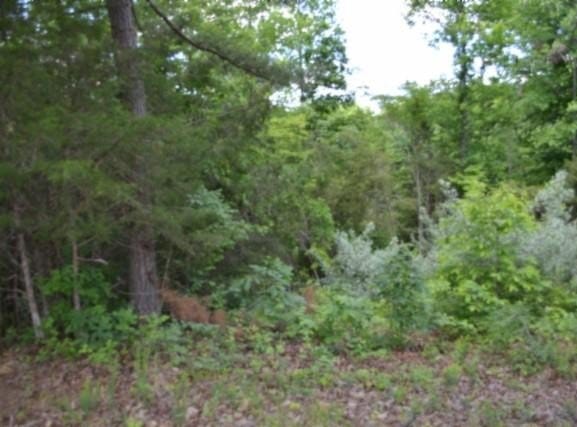 2.75ac Beauchamp Rd, Burkesville, KY 42717