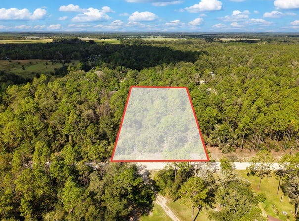 6339 NW 17th Ct, Bell, FL 32619