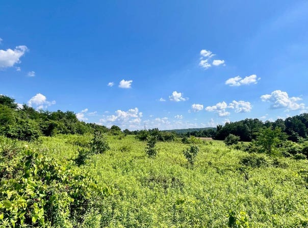 9755 FB Eye Rd, Blue Rock, OH 43720