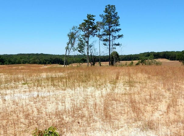 102 Hugh White State Park Road lot: 2, Grenada, MS 38901