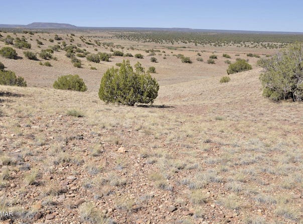 14 CR 5525, Concho, AZ 85924