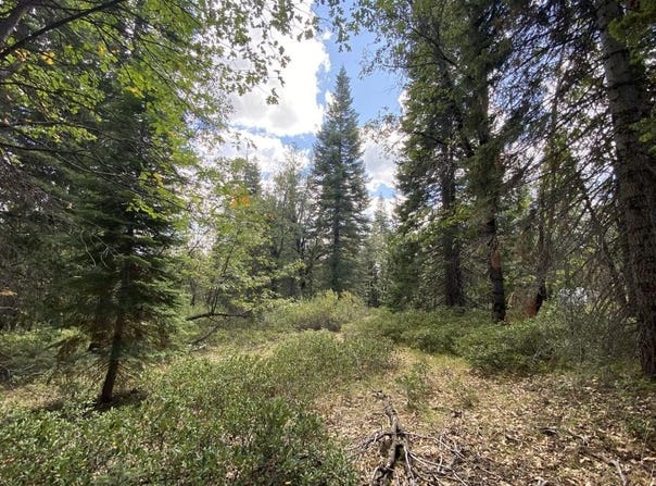 1-A-17 Mt Shasta Dr, McCloud, CA 96057