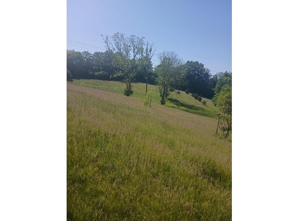 142 Plantation Drive, Richmond, KY 40475
