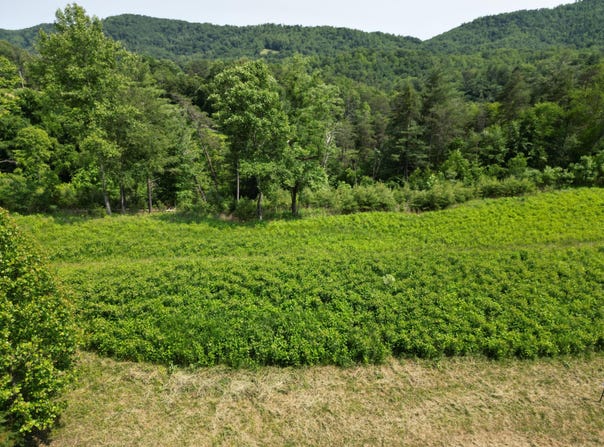 Lot 31-35 River Rock RD, Vinton, VA 24179