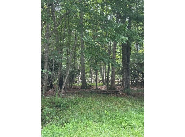 Tbd Carsonville Rd, Independence, VA 24348