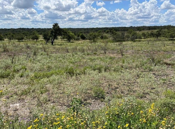 Jung Rd lot: 3, Harper, TX 78631