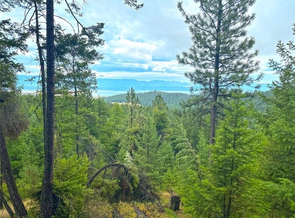 Nhn Boon Road, Somers, MT 59932