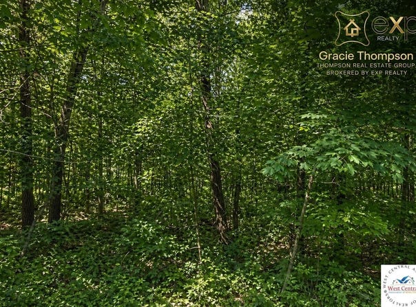 Pine Cove 13th Add Block 8 County Road, Edwards, MO 65326