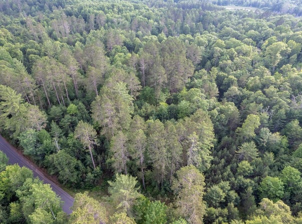 Lot 19 DADS LAKE RD, Eagle River, WI 54521