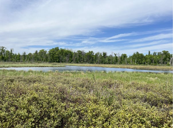 13384 Sorenson Lake Road, Merrifield, MN 56465