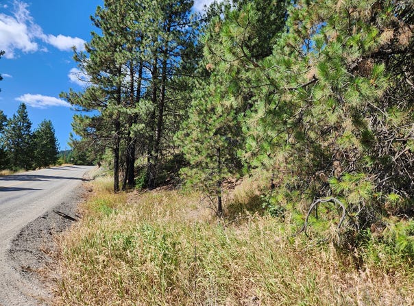 NKA KLONDIKE RD, REPUBLIC, WA 99166