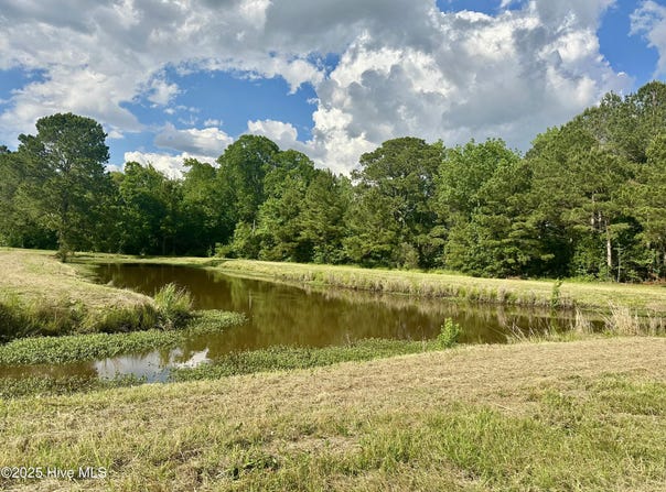 Near 2151 Dolph Lewis Road, Cerro Gordo, NC 28430