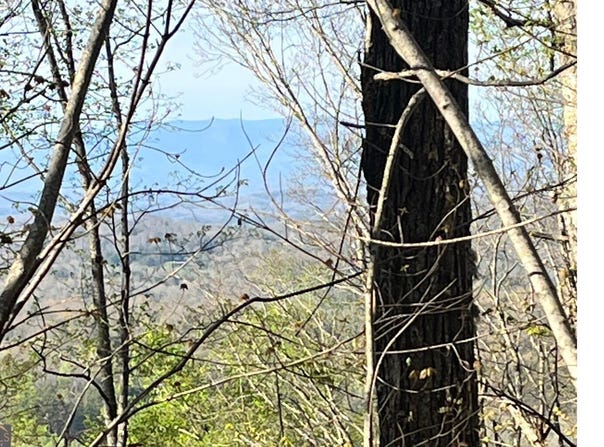 Lot 118 Croft Mtn, Blairsville, GA 30512