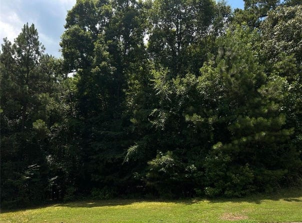 1805 Alcovy Ridge Lane, Loganville, GA 30052