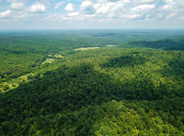 S Hurricane Creek Rd., Linden, TN 37096