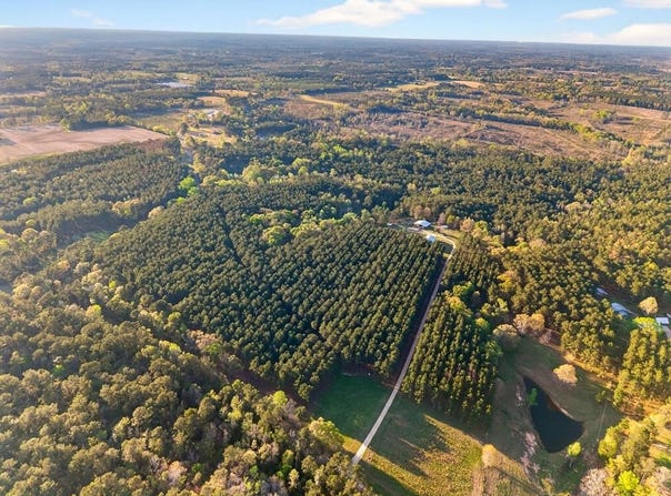 Gravel Pit Rd, Sandy Hook, MS 39478