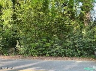 3746 Overlook Drive, Macon, GA 31204