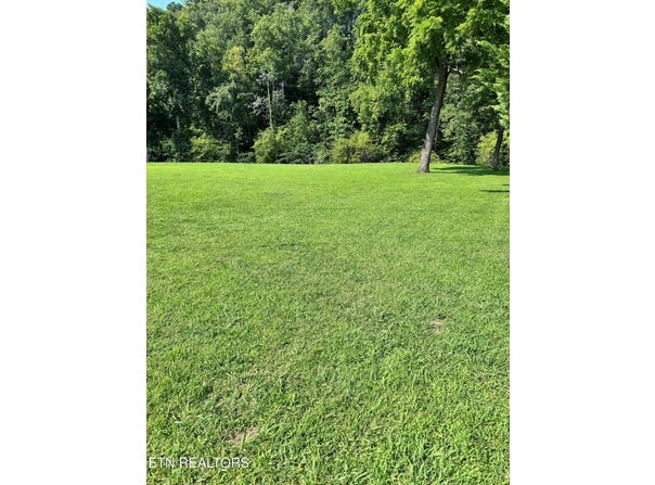 River Bank Rd, Pigeon Forge, TN 37863