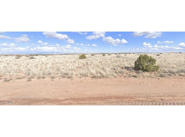 79 N Old Woodruff Road, Snowflake, AZ 85937