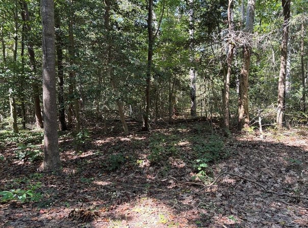 47E Hickory Hill Lane, LANCASTER, VA 22503