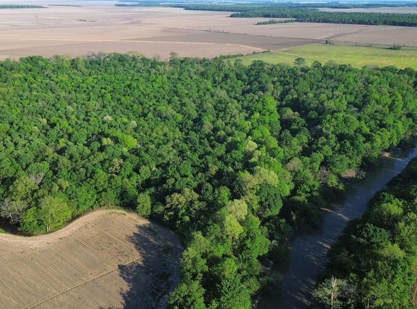 County Road 523, Schlater, MS 38952