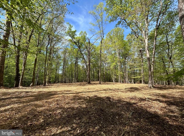 12636 MILL DAM DRIVE, CLIFTON, VA 20124