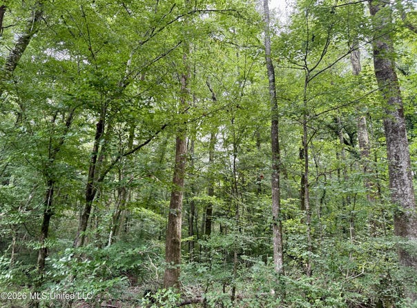 2194 Mississippi 570, Summit, MS 39666