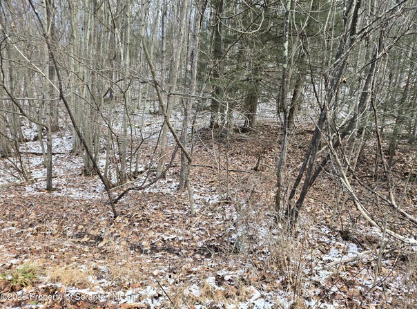 L77 Eastwoods Road, Tunkhannock, PA 18657