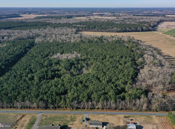 BENT PINE Road, WILLARDS, MD 21874