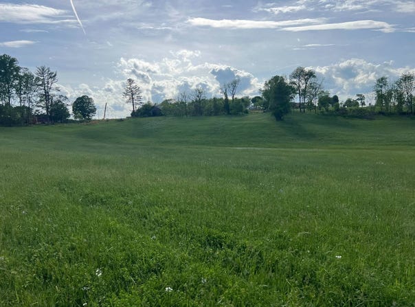 0 Gayle Bolin Road, Albany, KY 42602