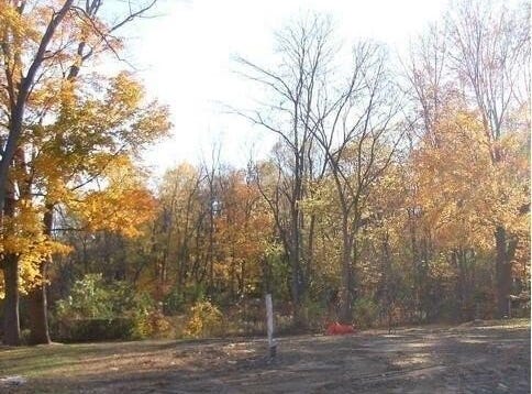 1817 W D Avenue, Kalamazoo, MI 49009