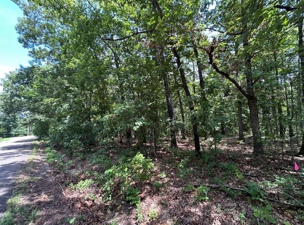 Lot 36 & 37 Beccles  LN, Bella Vista, AR 72714
