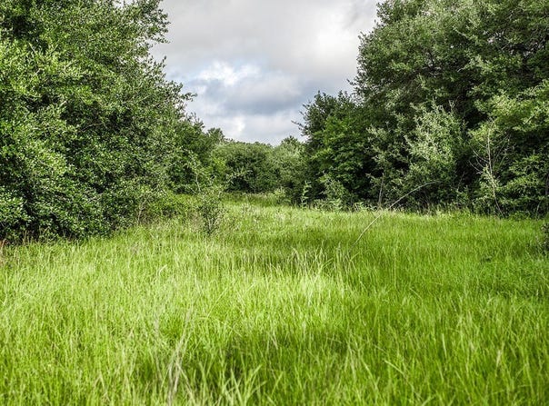 Tract 6 South Nassau Road, Round Top, TX 78954