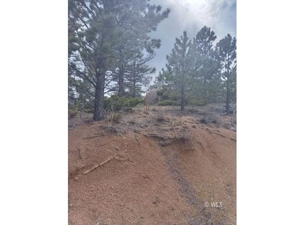 Tract I Spruce Mtn Rd, Cotopaxi, CO 81223